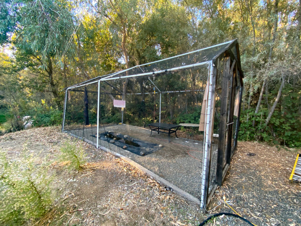 Outdoor bat flight cage