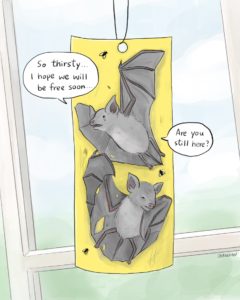 Sticky Traps Endanger Bats!